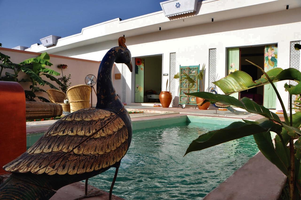 Parijat Private Pool Villa 1, 2 And 3 Bhk Ουνταϊπούρ Εξωτερικό φωτογραφία